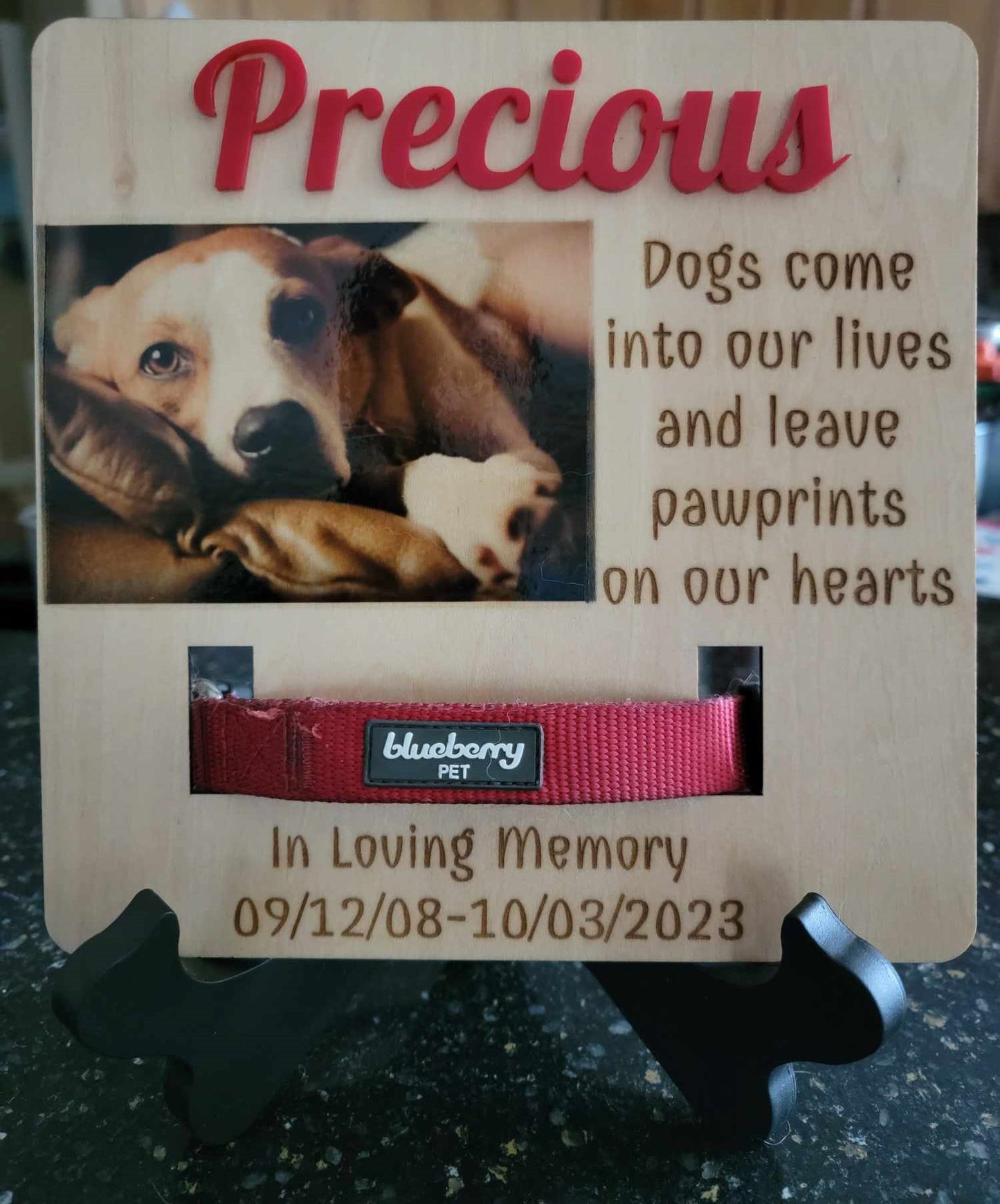 Dog Frame Memorial