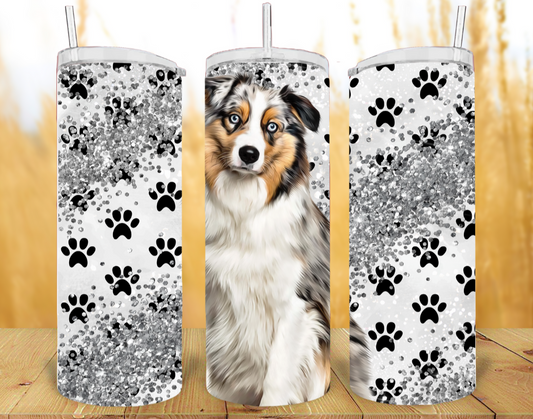 Australian Shepherd