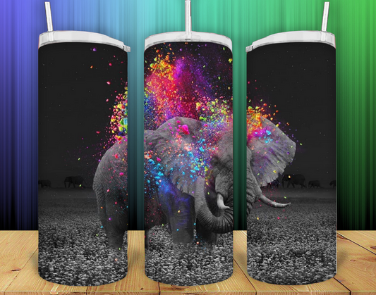 Elephant Splash of Color